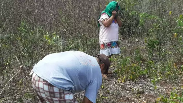 La violencia de género que prevalece en Quintana Roo mantiene la desigualdad; además, la marginación lingüística dificulta el acceso a la justicia. (Luis Enrique Cauich) 
Mujeres