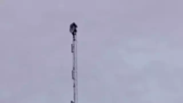 Después de horas convencieron al hombre de bajar