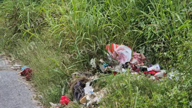 Vecinos de la colonia Guadalupe, en Champotón, denunciaron un lote baldío convertido en basurero al aire libre.