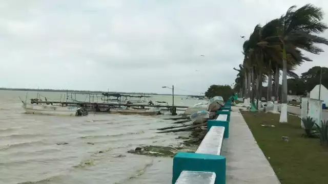 El Frente Frío frena la captura de escamas el litoral en Campeche