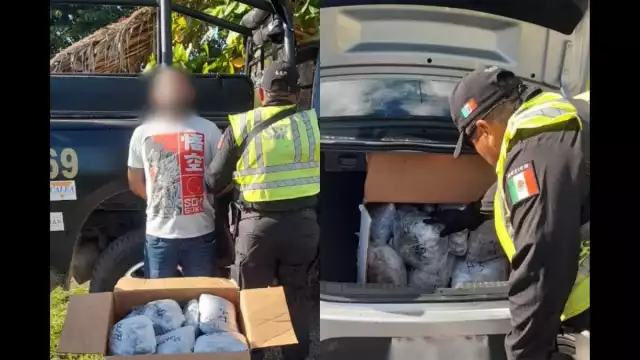 SSP decomisa 29 paquetes de cannabis en Tekax durante revisión vehicular