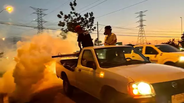 En la última semana, se registraron 53 casos de dengue