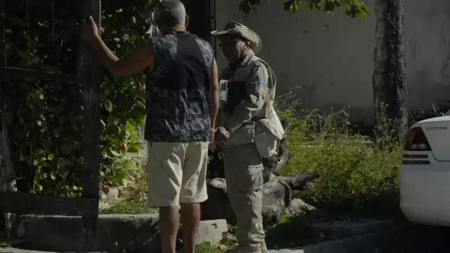 Se han intensificado las campañas de fumigación para exterminar al Aedes aepyti