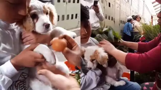 El video suma casi medio millón de vistas en TikTok