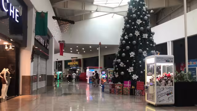 Resulta evidente la notable disminución de visitantes durante esta jornada festiva