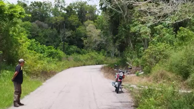 Aunque han denunciado el hecho, la única respuesta que reciben es que en breve les enviarán una cuadrilla para restablecer el suministro y evitar otros daños.
