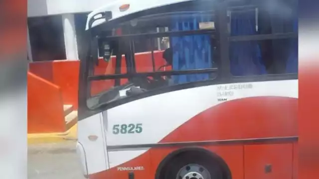 El chofer se dio cuanta cuando empezó a escuchar golpes desde la gaveta