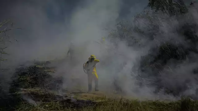 La Comisión Ambiental de la Megalópolis registró una calidad del aire "muy mala" por partículas PM2.5 en Azcapotzalco y Tlalnepantla