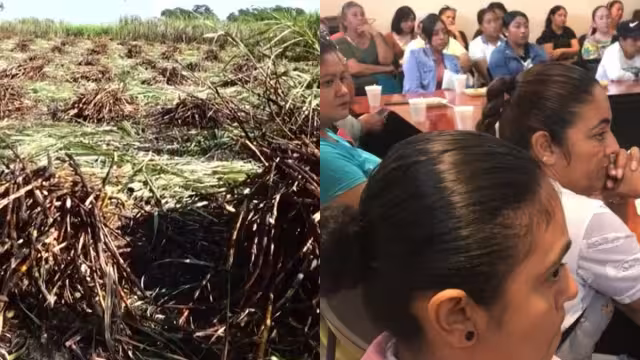 Asegurando la continuidad de la cosecha de caña y demostrando que no hay límites para el talento femenino.