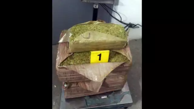 Guardia Nacional aseguro paquetes de marihuana en el aeropuerto de SLP