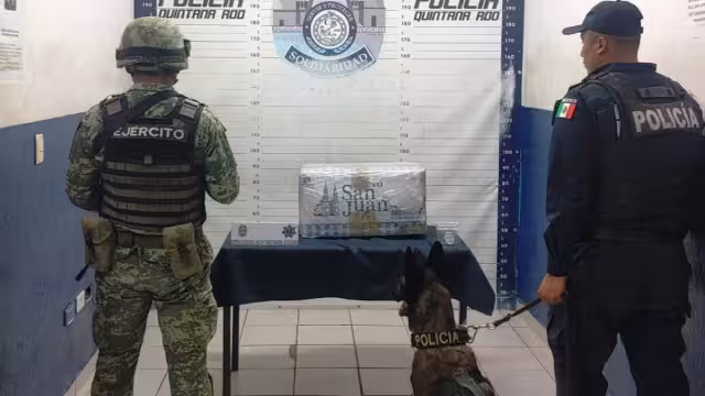 El elemento K9 llamado 'Kamil' detectó la droga