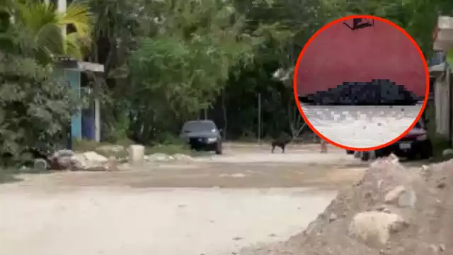 Los trabajadores de la Fiscalía General del Estado y los peritos llegaron para realizar el levantamiento del cadáver