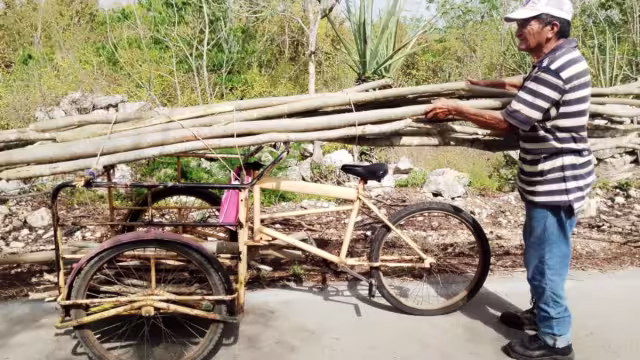 Los productos elaborados con madera son exportados a Estados Unidos, Centroamérica y el Caribe