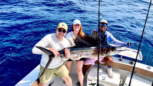 Por protocolo legal vigente, los animales se sacan del agua, les toman fotografías y los vuelven a liberar en el mar