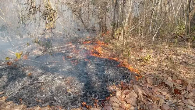 La Secretaría de Medio Ambiente informó que el incendio ya está liquidado
