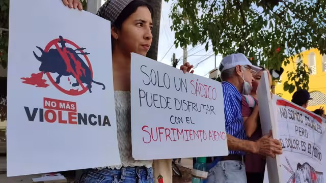 Activistas en busca de erradicar el maltrato animal