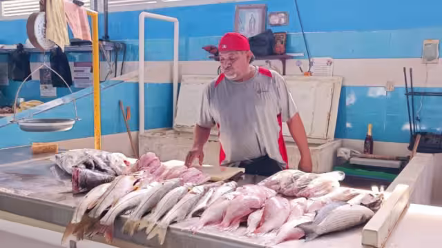 El pasado fin de semana que hubo un repunte de alrededor del 70 a 80 por ciento