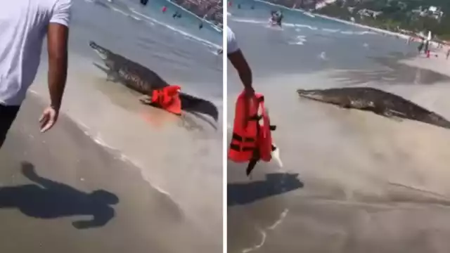 El momento fue captado por bañistas que disfrutaban de la playa