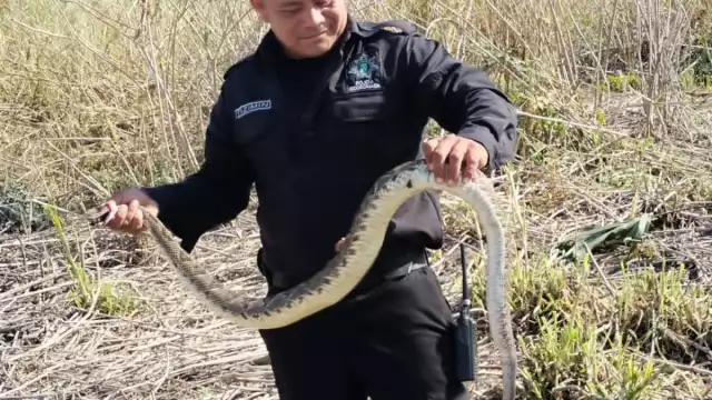 Policías municipales estuvieron al pendiente para que todo se desarrollara de manera tranquila y pacífica