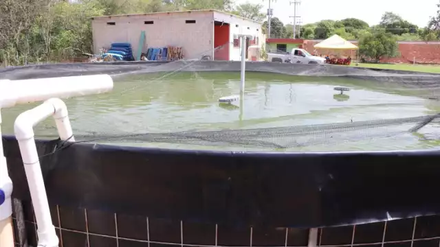 El faltante corresponde al PACMA, destinado a comunidades de la región y su retraso ha causado que estén sin entregar 400 mil peces y 100 toneladas de alimento