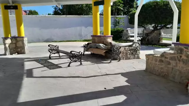 Sin importar la hora, cuando tienen sueño arrastran su colchón y se acuestan a dormir