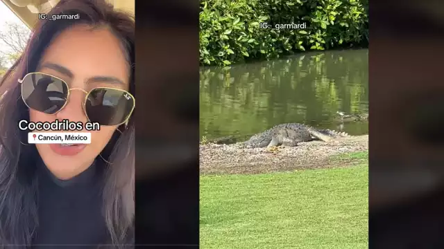 La chica muestra como el campo de golf esta lleno de cocodrilos