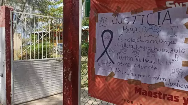 La presidenta de la Fundación Bienestar Animal interpuso una demanda ante la Fiscalía