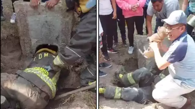 El 'Jefe Vulcano' de los bomberos compartió el video en sus redes sociales