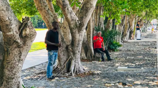 Se ignora el tiempo exacto que lleva en el recinto aéreo cancunense. Recibe alimento o bebida de algunos pasajeros o empleados, y duerme en las áreas verdes o en las bancas