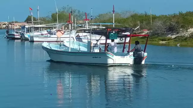 Los pescadores esperan la temporada de pulpo para zarpar