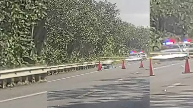 La persona fue arrollada por un vehículo que de manera irresponsable huyó del lugar dejando al peatón a su suerte