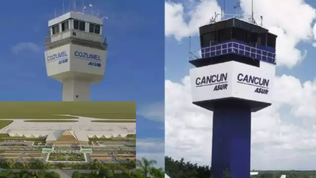 Conoce cuáles son y sus características