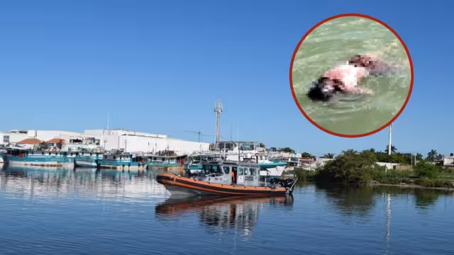 Durante la temporada de pulpo, tres pescadores han fallecido