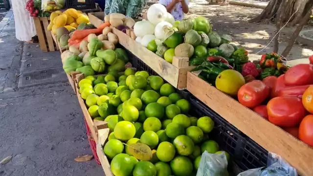 Al parecer el limón podría subir aún más su precio