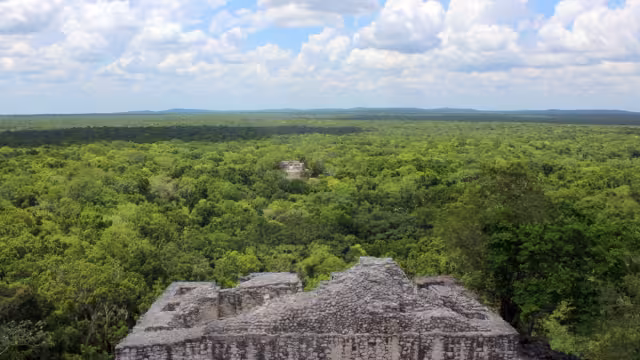 La inmensa selva tropical se invade de naturaleza, donde se escucha el sonido natural de las especies