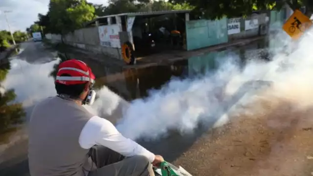 Los casos de dengue en la entidad promedian los 100 diarios