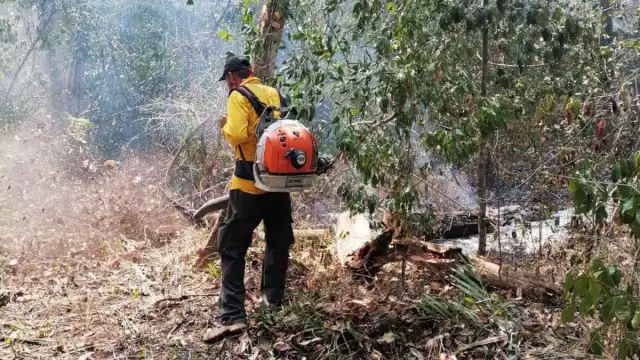 Candelaria y Champotón presentan mayor riesgo de incendios en Campeche
