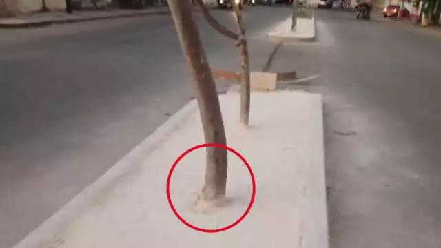 El Ayuntamiento de Kanasín ya trató de arreglar la banqueta mal diseñada