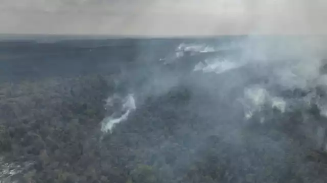 Hopelchén y Carmen han sido los municipios con más registros