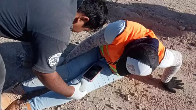 La llevaron a un hospital del IMSS, pues requiere cirugía.