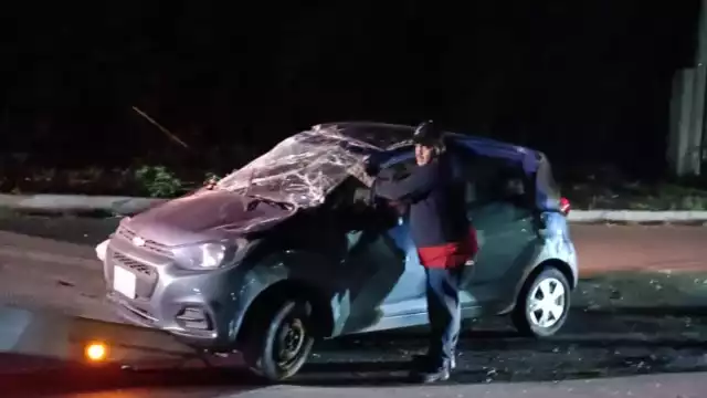 El conductor huyó del lugar pues se cree que estaba ebrio