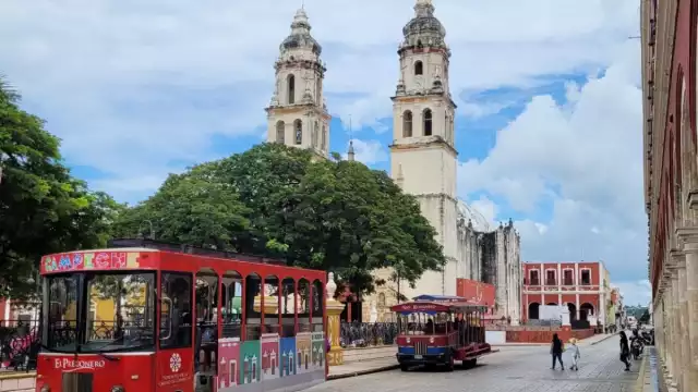 Se ha dado mantenimiento a las unidades para garantizar buen servicio