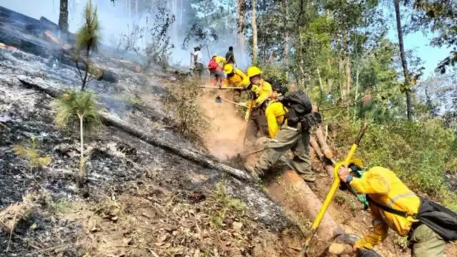 Hasta la fecha, cuatro personas han perdido la vida mientras luchaban contra los 116 incendios forestales activos que se extienden por varios estados del país