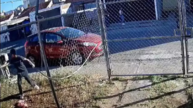Una cámara de seguridad logró captar el momento en uqe un joven balea a un perro en la colonia Arko San Antonio de Morelia, Michoacán