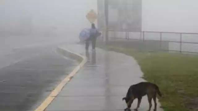 La Tormenta Tropical Pilar que afecta a El Salvador, ha dejado un saldo preliminar de 3 personas fallecidas