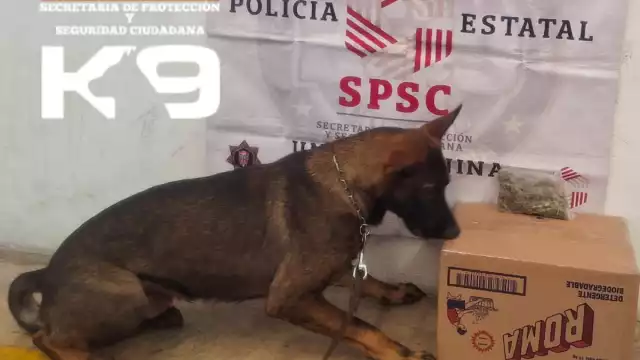 Aseguran policías sustancias ilícitas