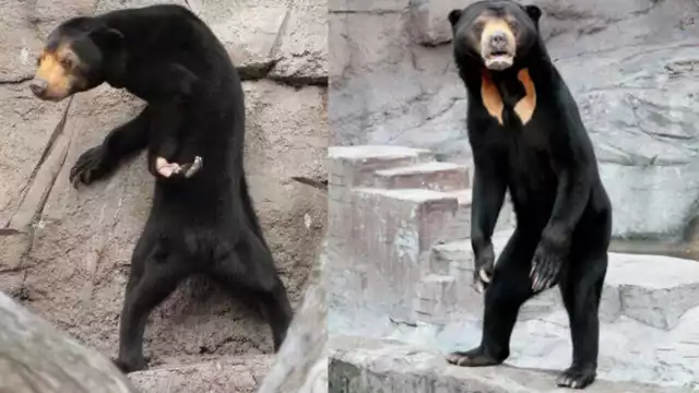 ¿Real o fake?. Foto: Especial