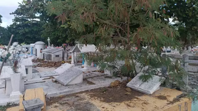 Por doquier se observaba a la gente tratando de retirar dichas plantas con sus propias manos