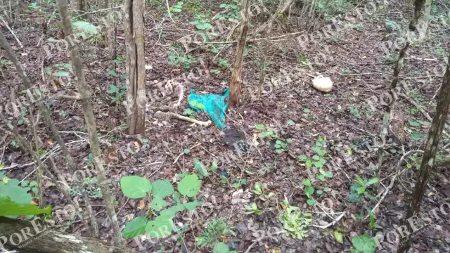 Autoridades investigarán a quién corresponde el cuerpo hallado en Akil