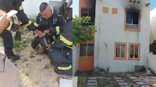 Rescatan a perrito en llamas